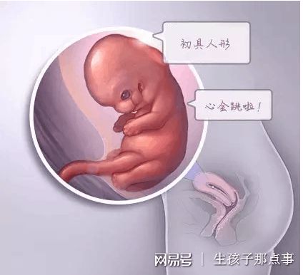 实验室 Fig.02